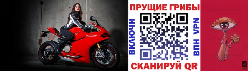 что такое наркотик  даркнет Telegram  Псилоцибиновые грибы MAGIC MUSHROOMS  Удачный 